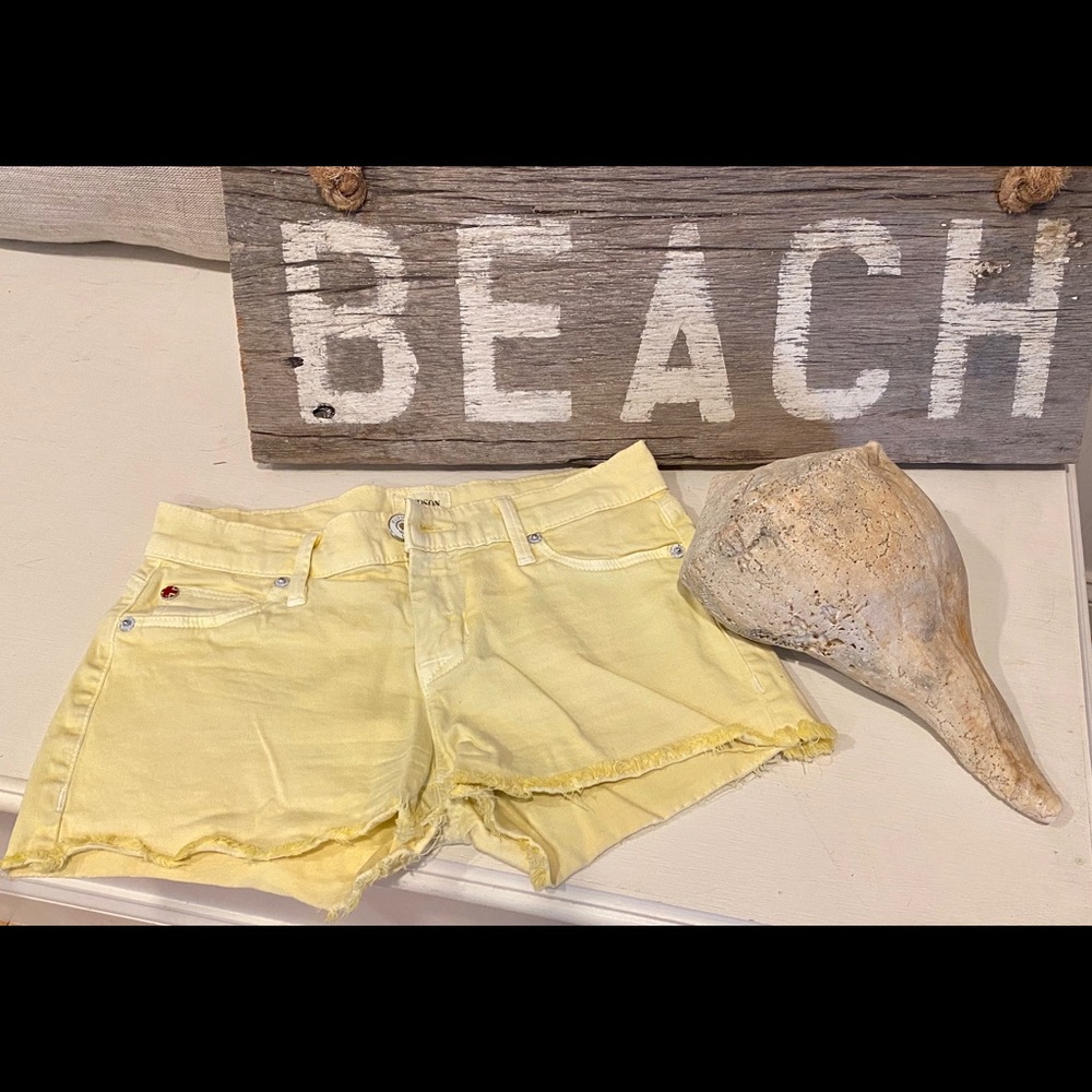 Hudson Jeans Amber Frey Raw Edge Hem Short Denim Size 24